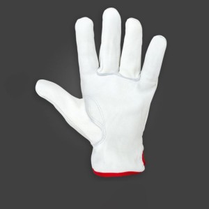 Δερμάτινα γάντια εργασίας Libra Plus